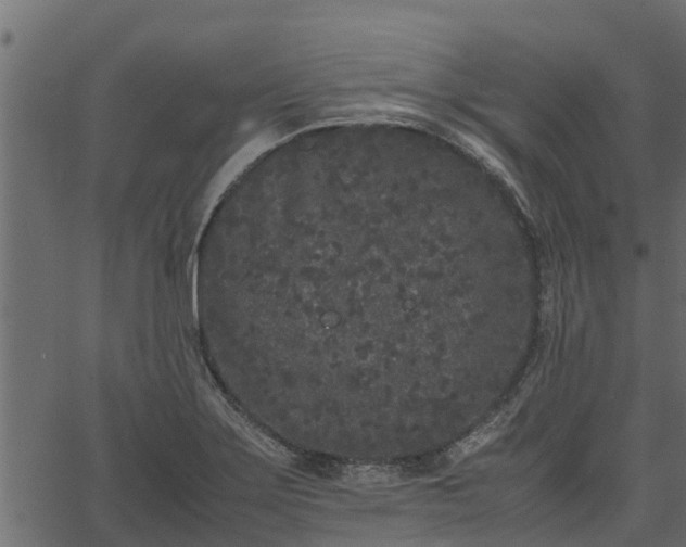 X0000066941275200603311408