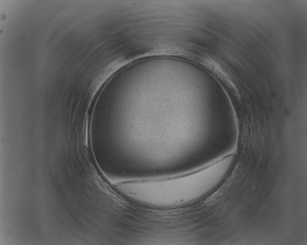 X0000066941276200603311408