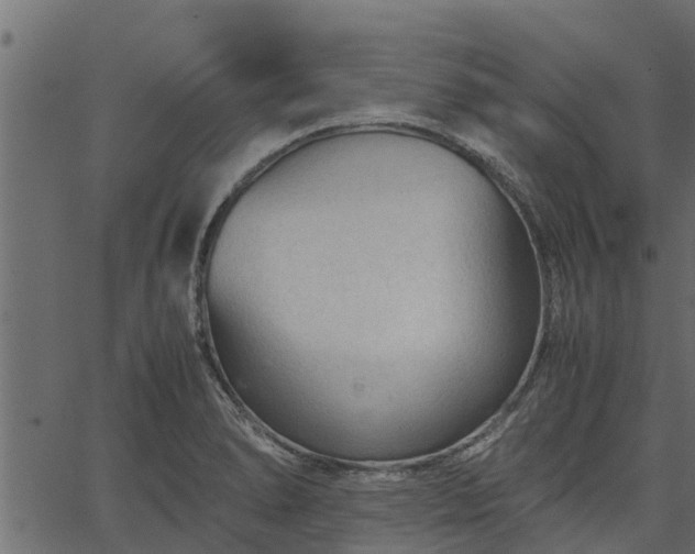 X0000066941278200603311408