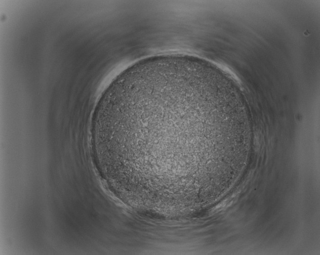 X0000066941279200603311408