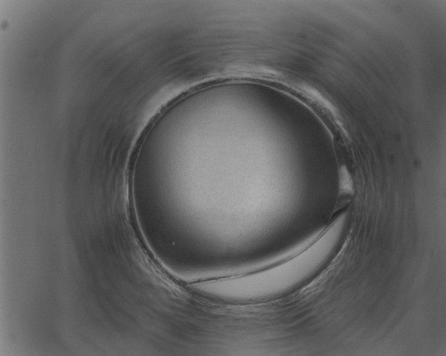 X0000066941280200603311408