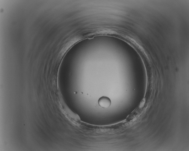 X0000066941281200603311408