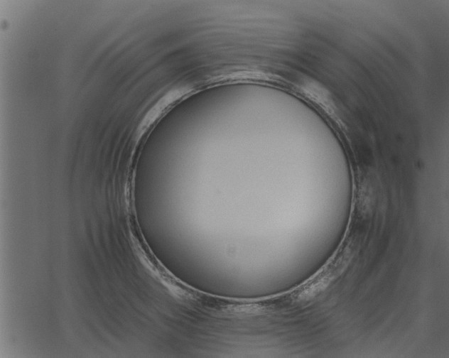 X0000066941282200603311408