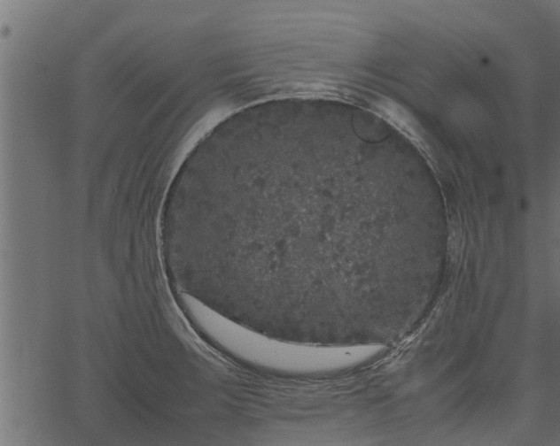 X0000066941283200603311408