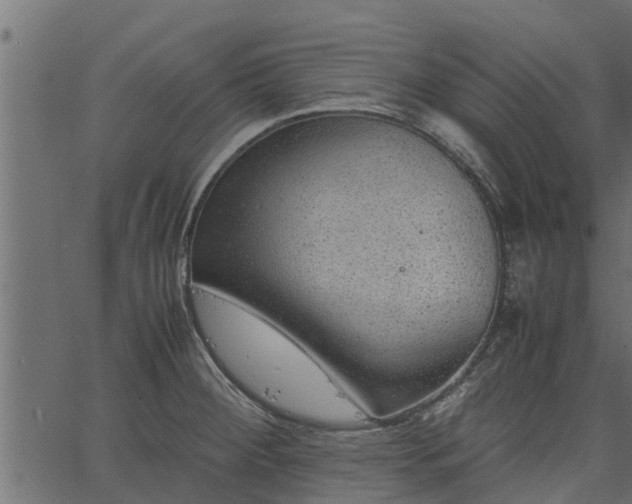 X0000066941284200603311408