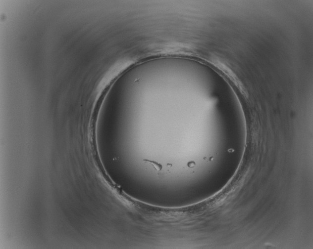 X0000066941285200603311408