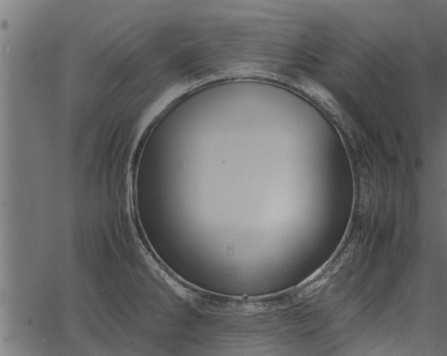 X0000066941286200603311408