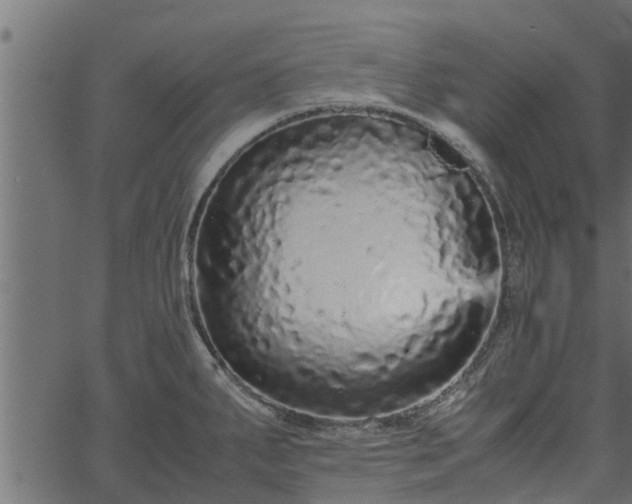 X0000066941287200603311408