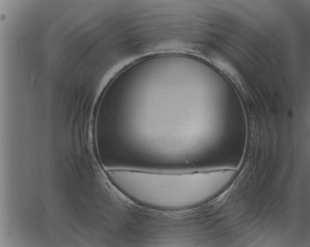 X0000066941288200603311408