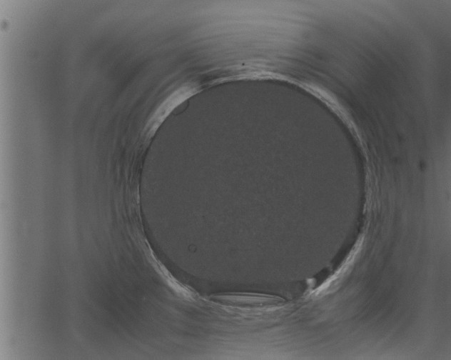 X0000066941289200603311408