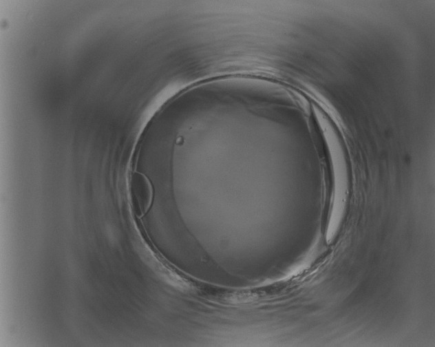 X0000066941291200603311408