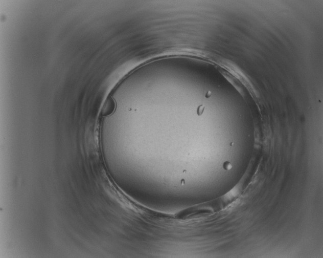 X0000066941292200603311408