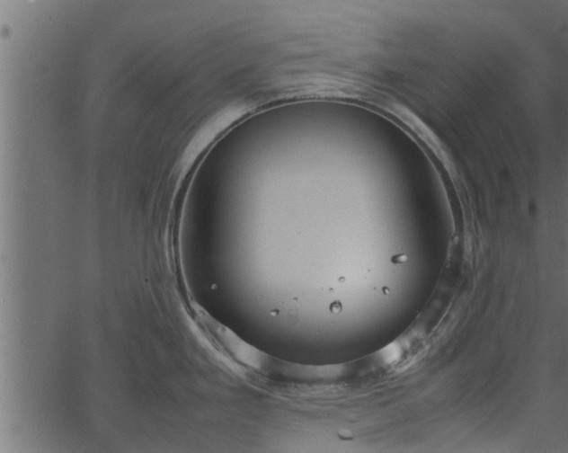 X0000066941293200603311407