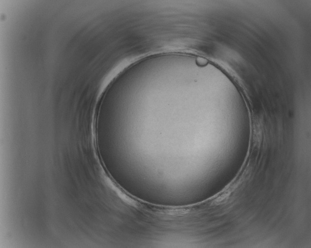 X0000066941294200603311407