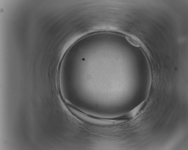 X0000066941295200603311407