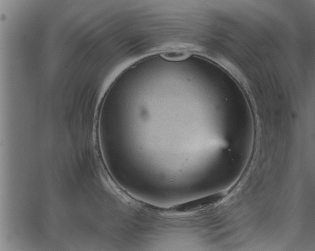 X0000066941296200603311407