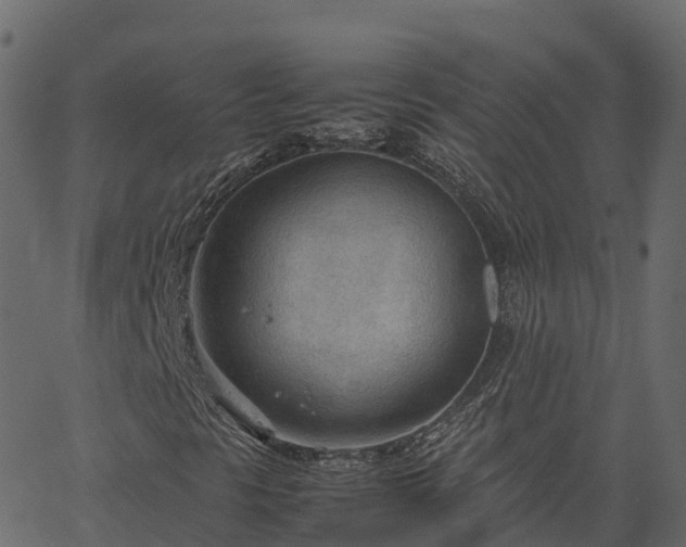 X0000066941297200603311407