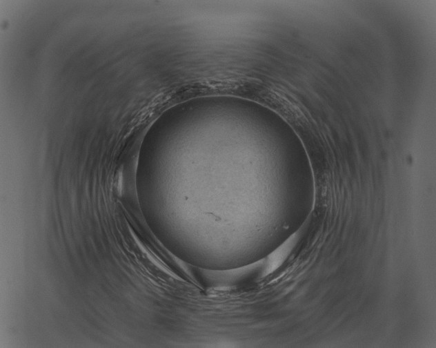 X0000066941298200603311407