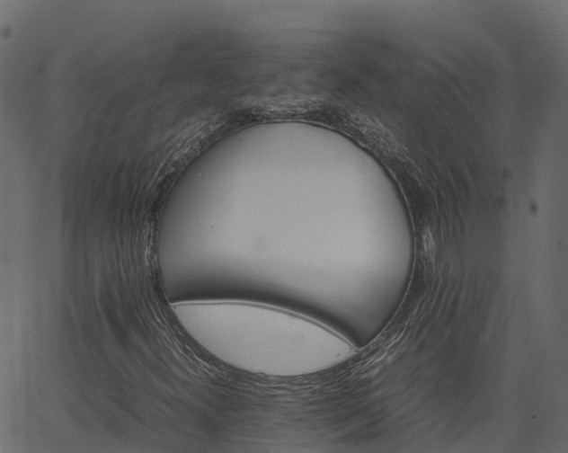 X0000066941300200603311407