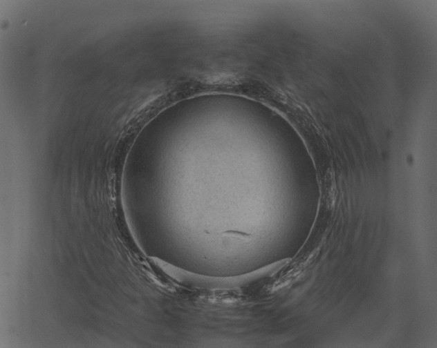 X0000066941301200603311407