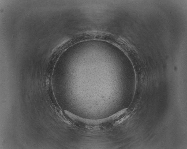 X0000066941302200603311407