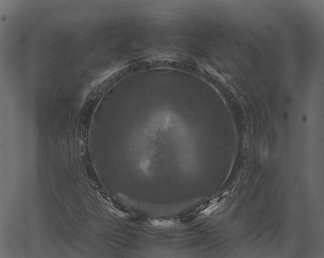 X0000066941303200603311407