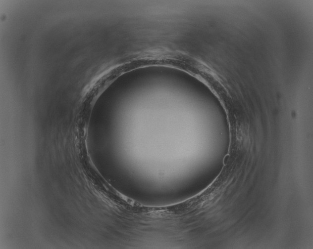 X0000066941304200603311407