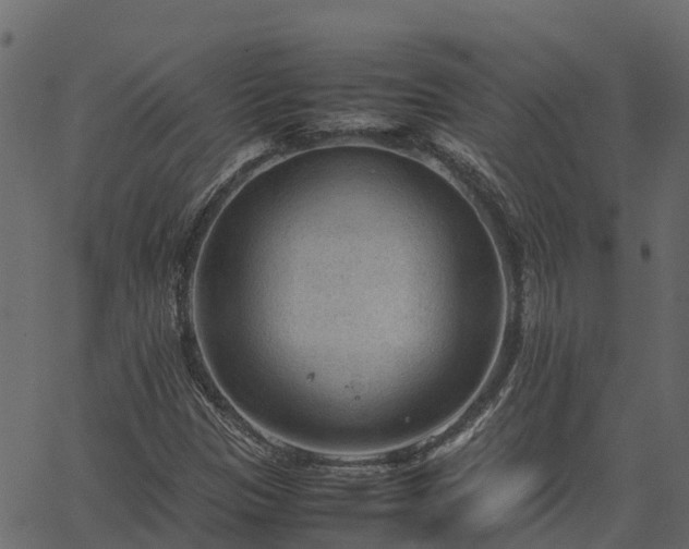 X0000066941305200603311407