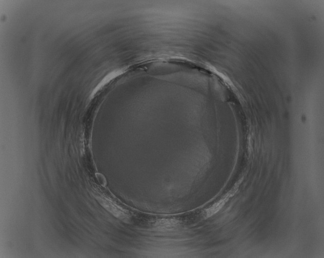 X0000066941306200603311407