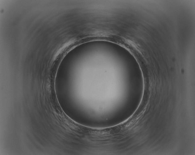 X0000066941307200603311407