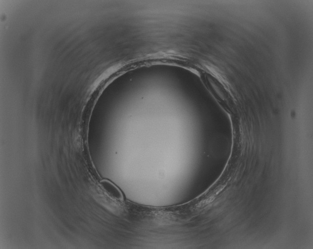 X0000066941308200603311407