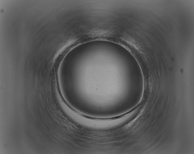 X0000066941309200603311407