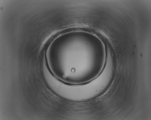 X0000066941310200603311407