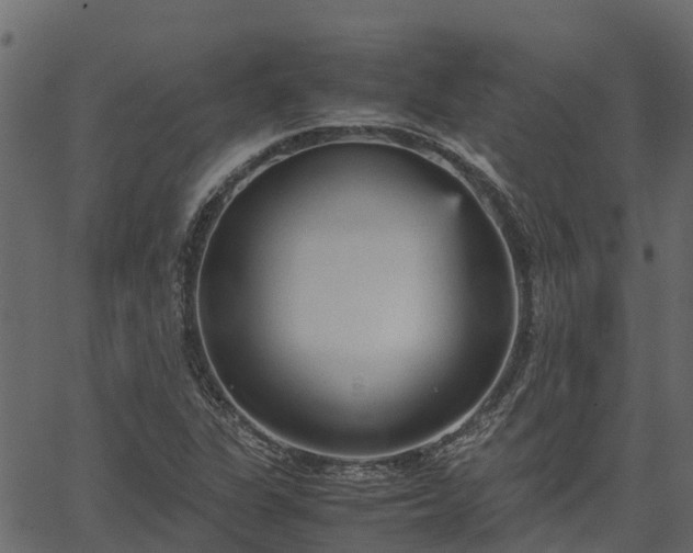 X0000066941311200603311407