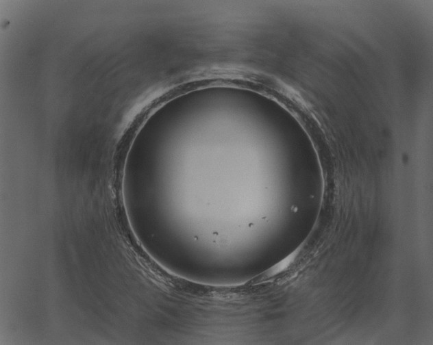 X0000066941312200603311407