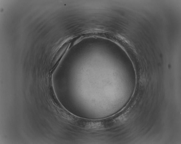 X0000066941313200603311407