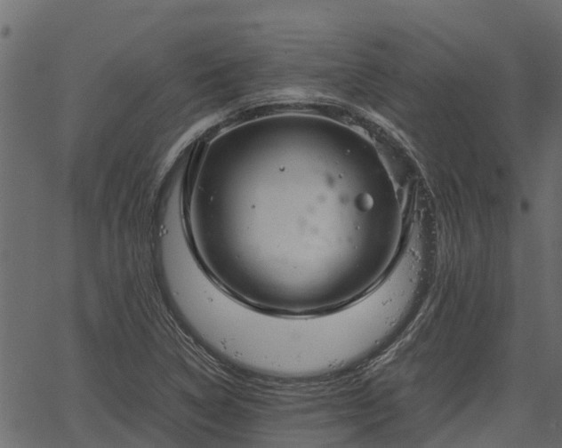 X0000066941314200603311407