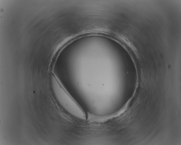 X0000066941316200603311407