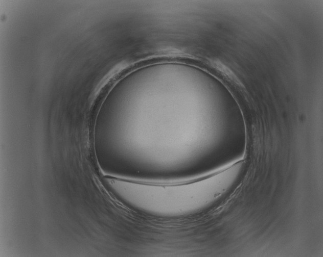 X0000066941318200603311407