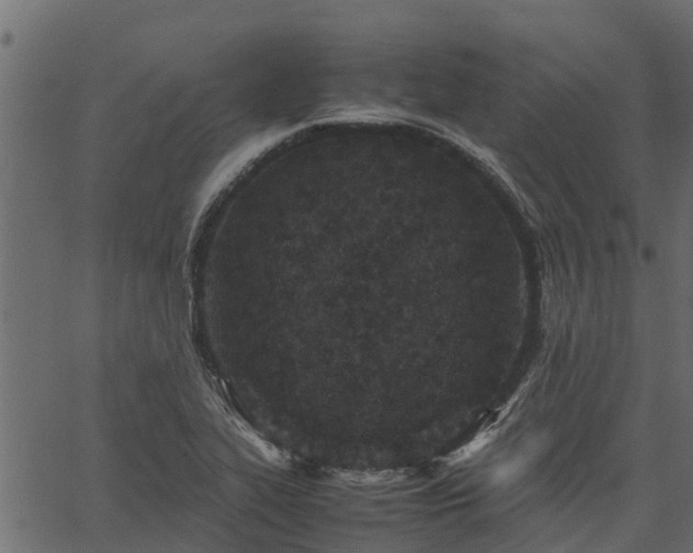 X0000066941319200603311407