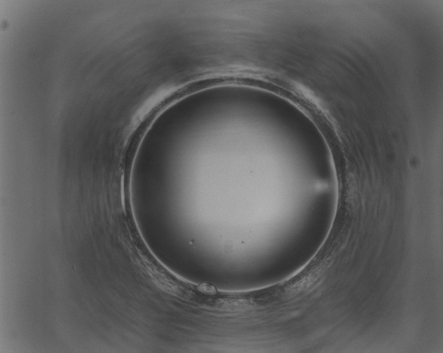 X0000066941320200603311407