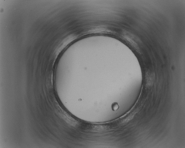 X0000066941322200603311407