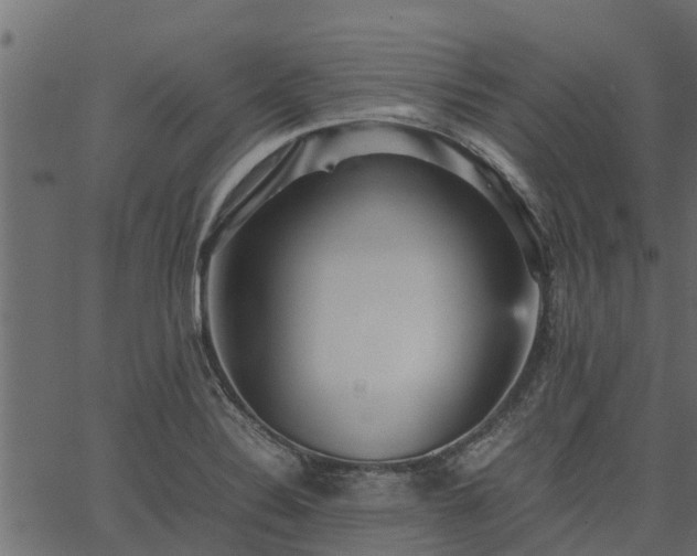 X0000066941324200603311407