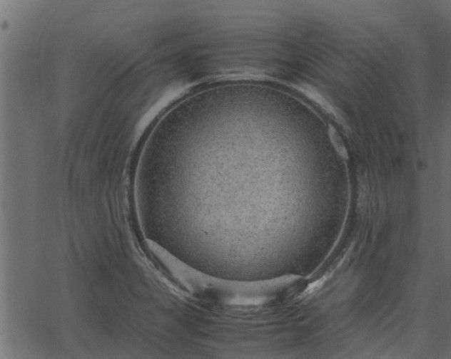 X0000066941325200603311407