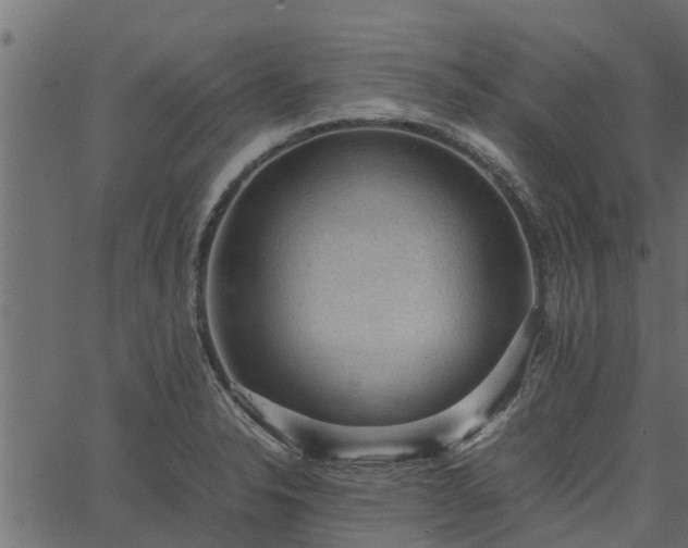 X0000066941326200603311407