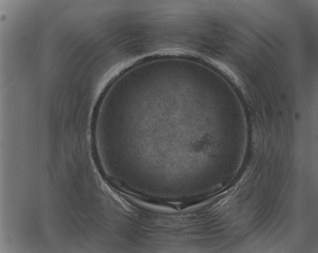 X0000066941327200603311407