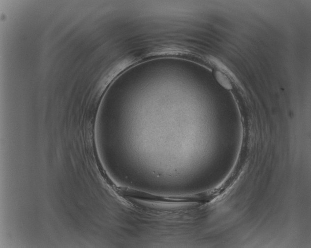 X0000066941329200603311407