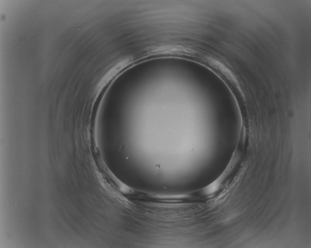 X0000066941330200603311407