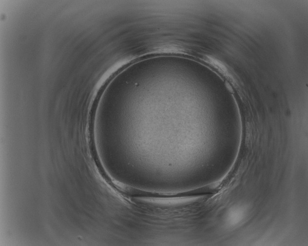 X0000066941331200603311407