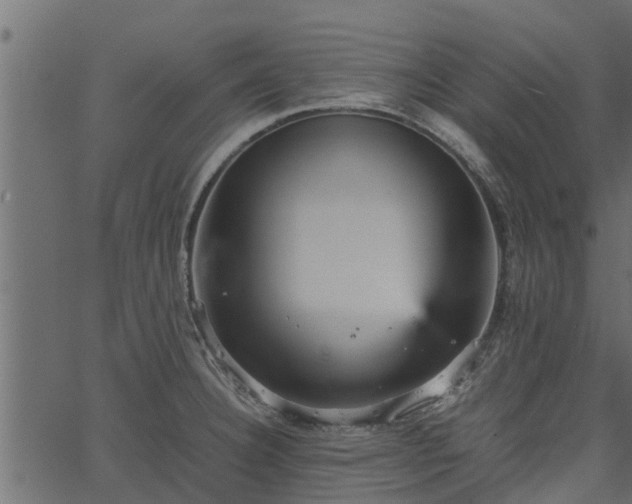 X0000066941332200603311407